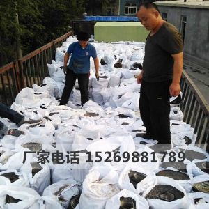 道路抗裂貼 道路白改黑