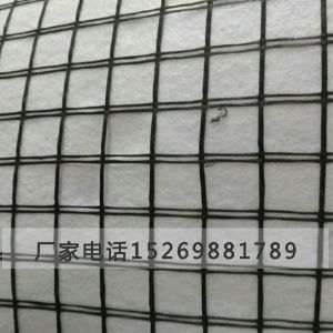 土工格柵